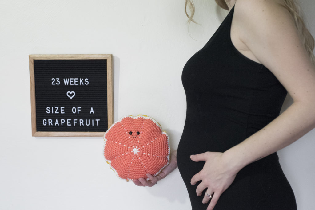 Grapefruit crochet pattern by The Turtle Trunk