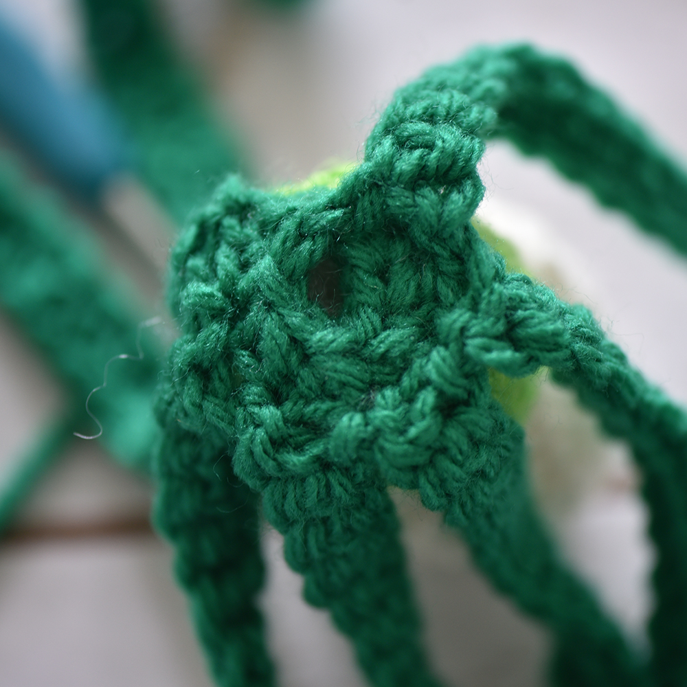 Scallion crochet pattern by The Turtle Trunk