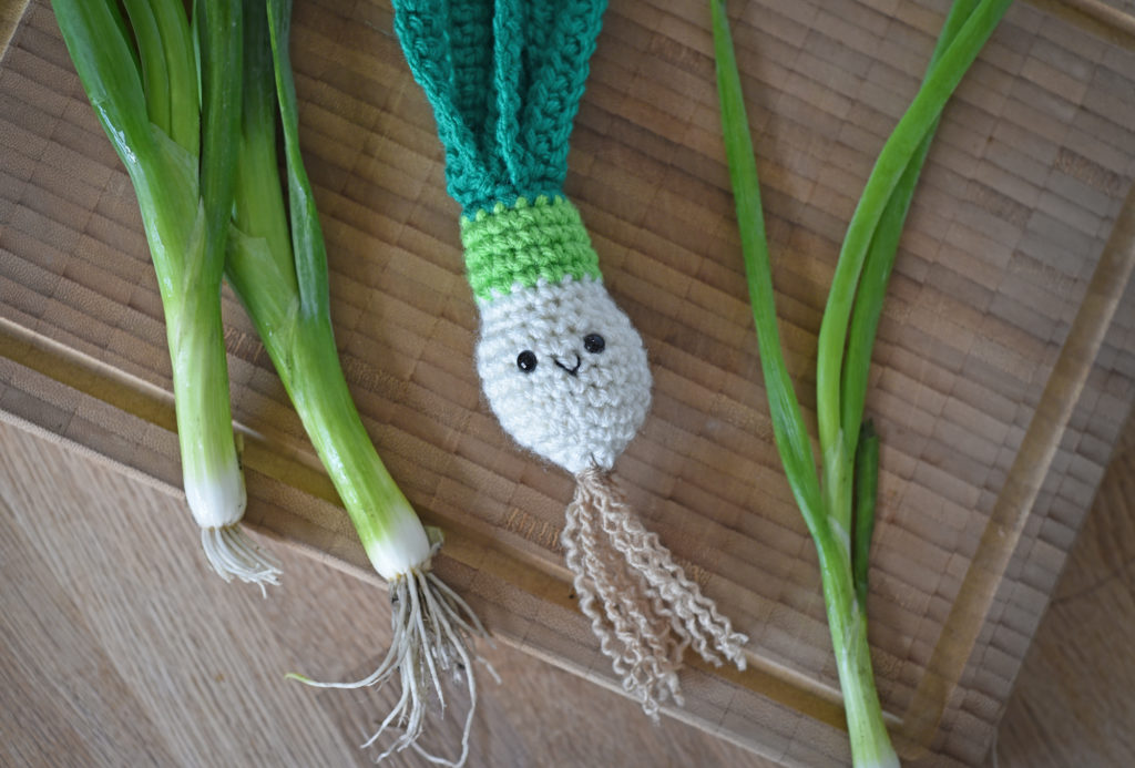 Scallion crochet pattern by The Turtle Trunk