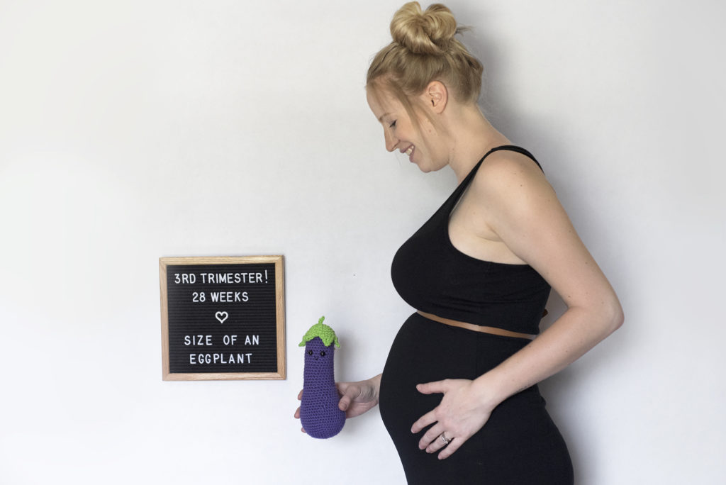 Eggplant crochet pattern by The Turtle Trunk