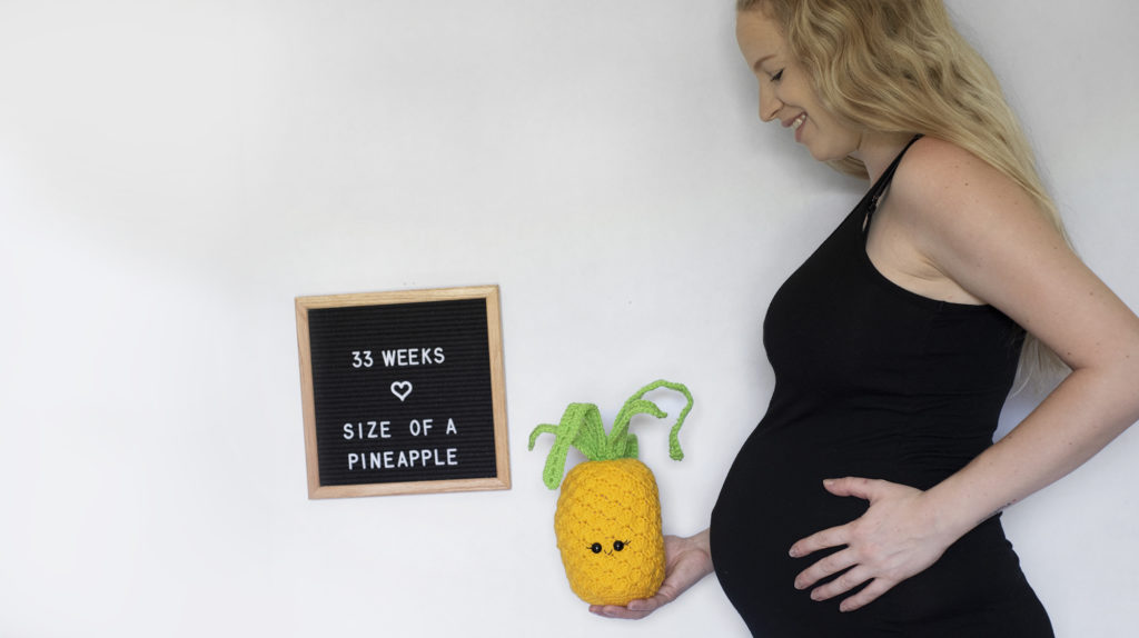 Pineapple crochet pattern by The Turtle Trunk