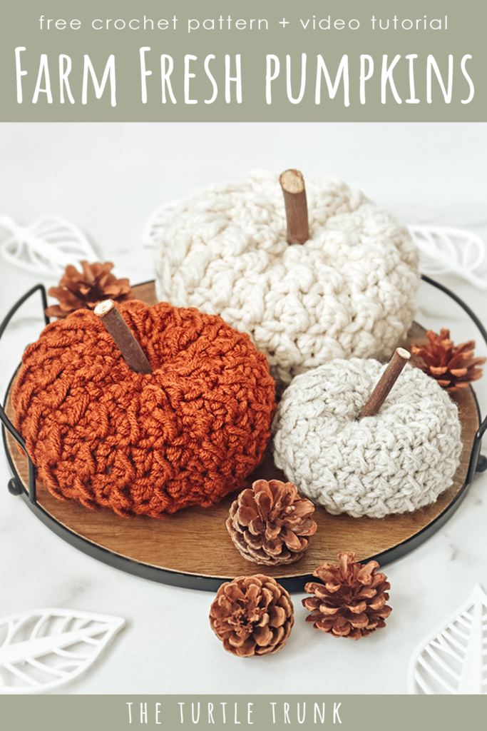 pinterest pin for the farm fresh pumpkin crochet pattern by The Turtle Trunk