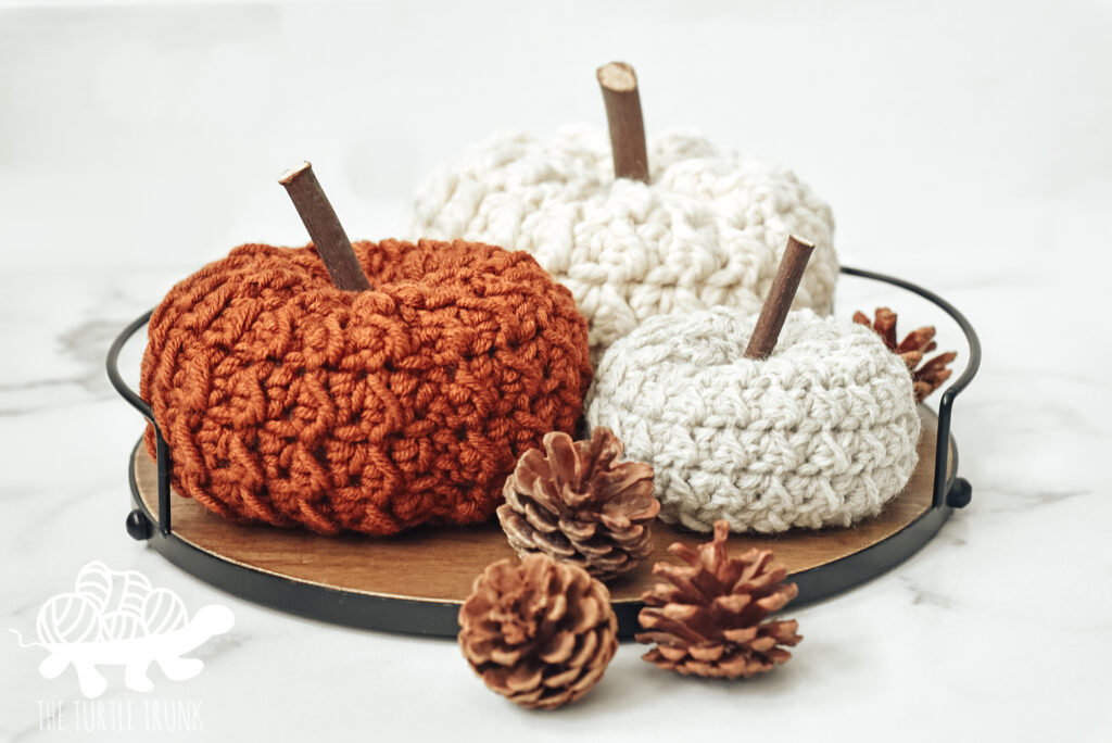 Farm Fresh Pumpkin crochet pattern by The Turtle Trunk