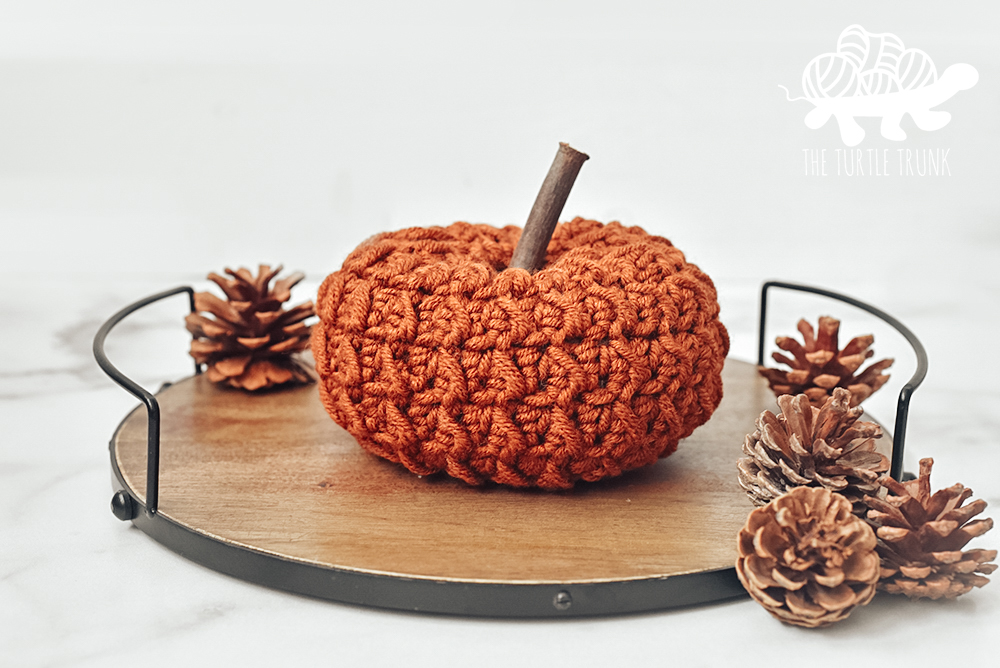 Farm Fresh Pumpkin crochet pattern by The Turtle Trunk