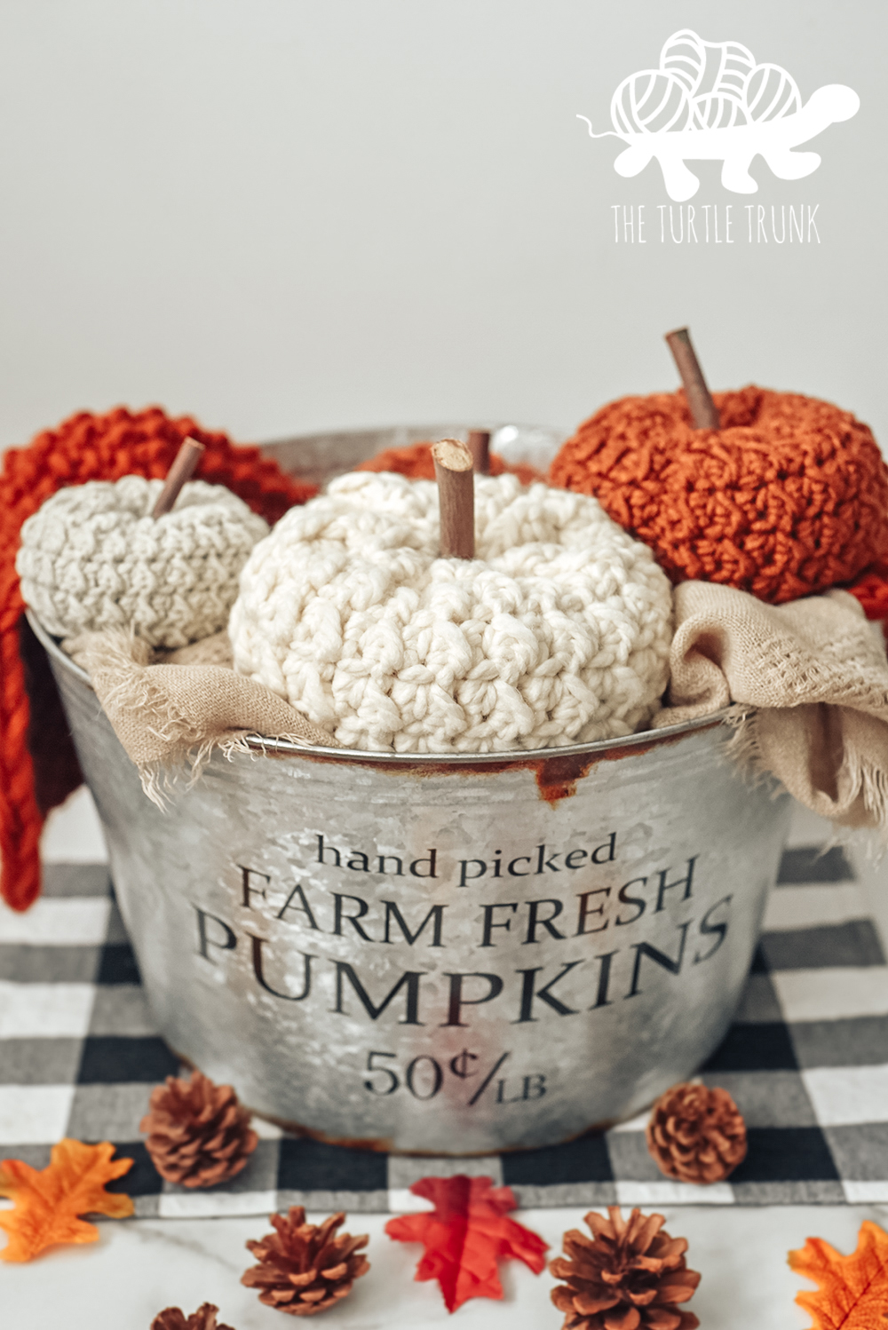 Farm Fresh Pumpkin crochet pattern by The Turtle Trunk