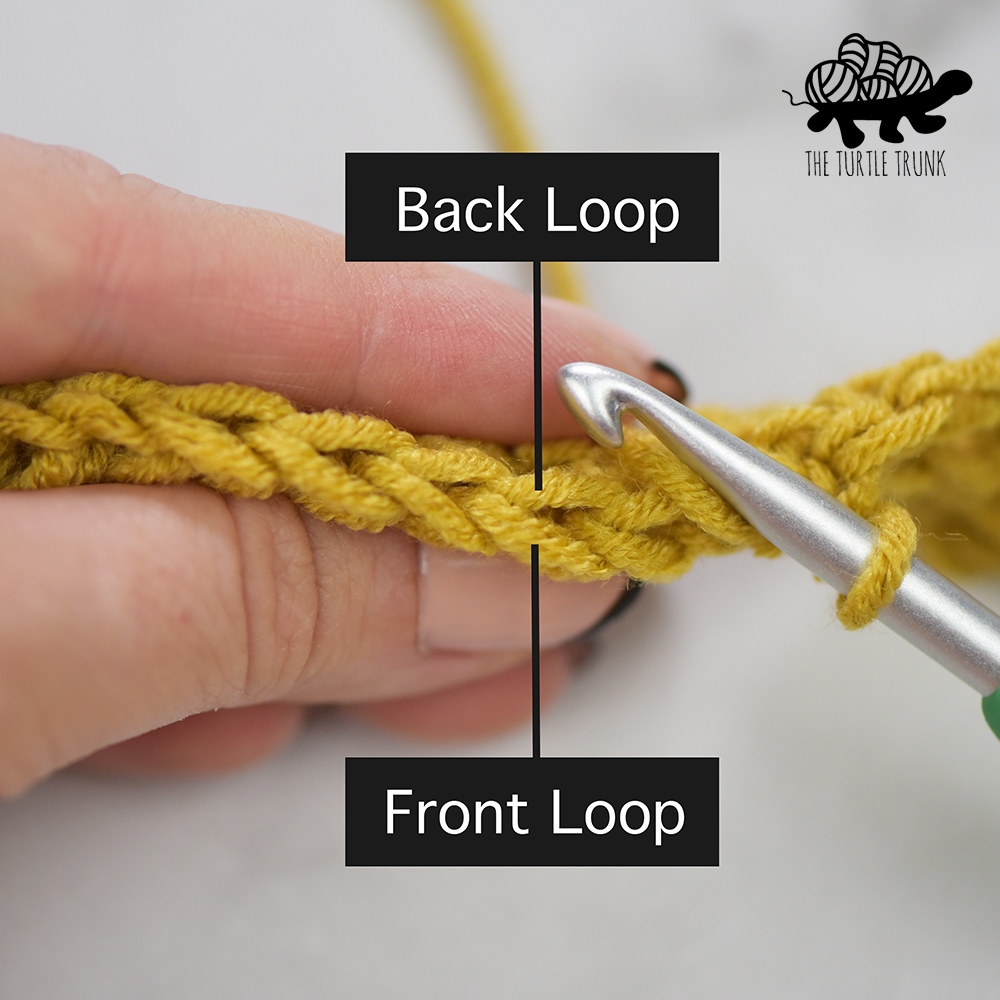 Photo shows the front loop and back loop when crocheting.