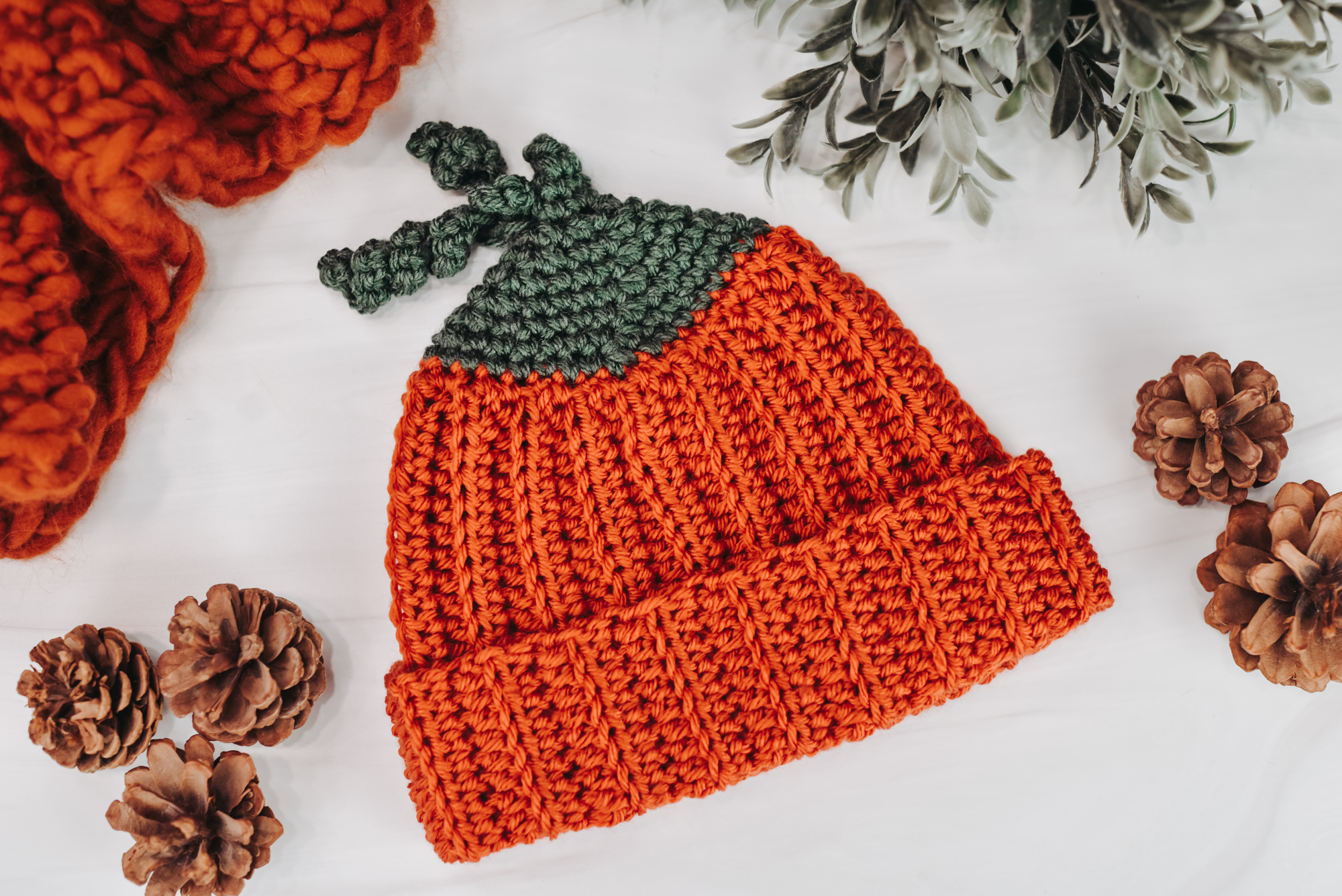 Pumpkin Beanie Free Crochet Pattern The Turtle Trunk